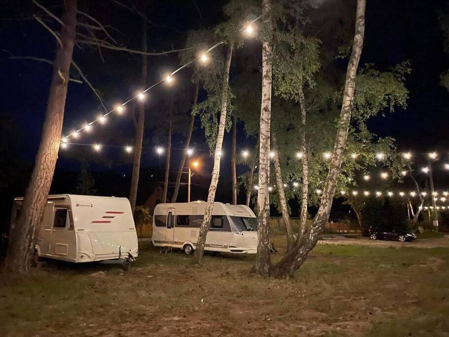 Wyspa Drogowiec Pole Campingowo-Namiotowe - Gdansk — Zdjęcia 1
